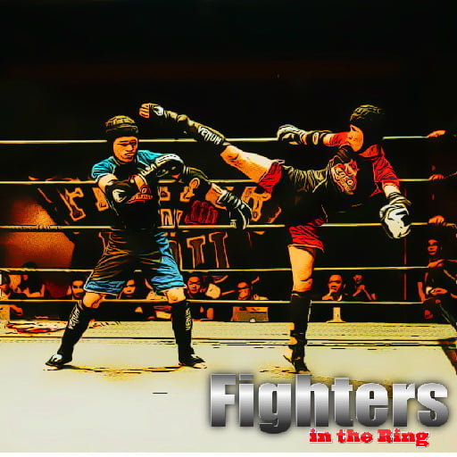 Fighters in the Ring