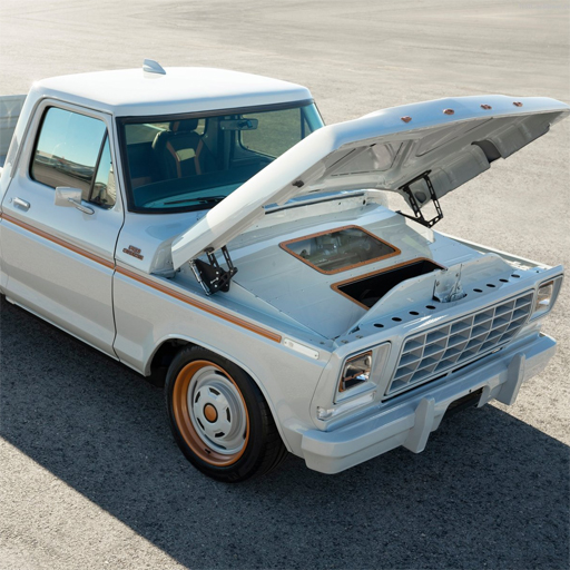 Ford F-100 Eluminator Slide